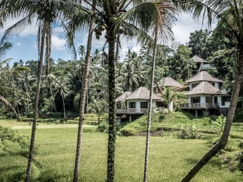 From Halls to Homes: Why Private Villa Weddings Are the New Venues
